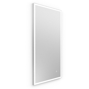 Tate Light Mirror 40x80cm - Polished